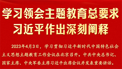 學習領會主題教育總要求習近平做出深刻闡釋